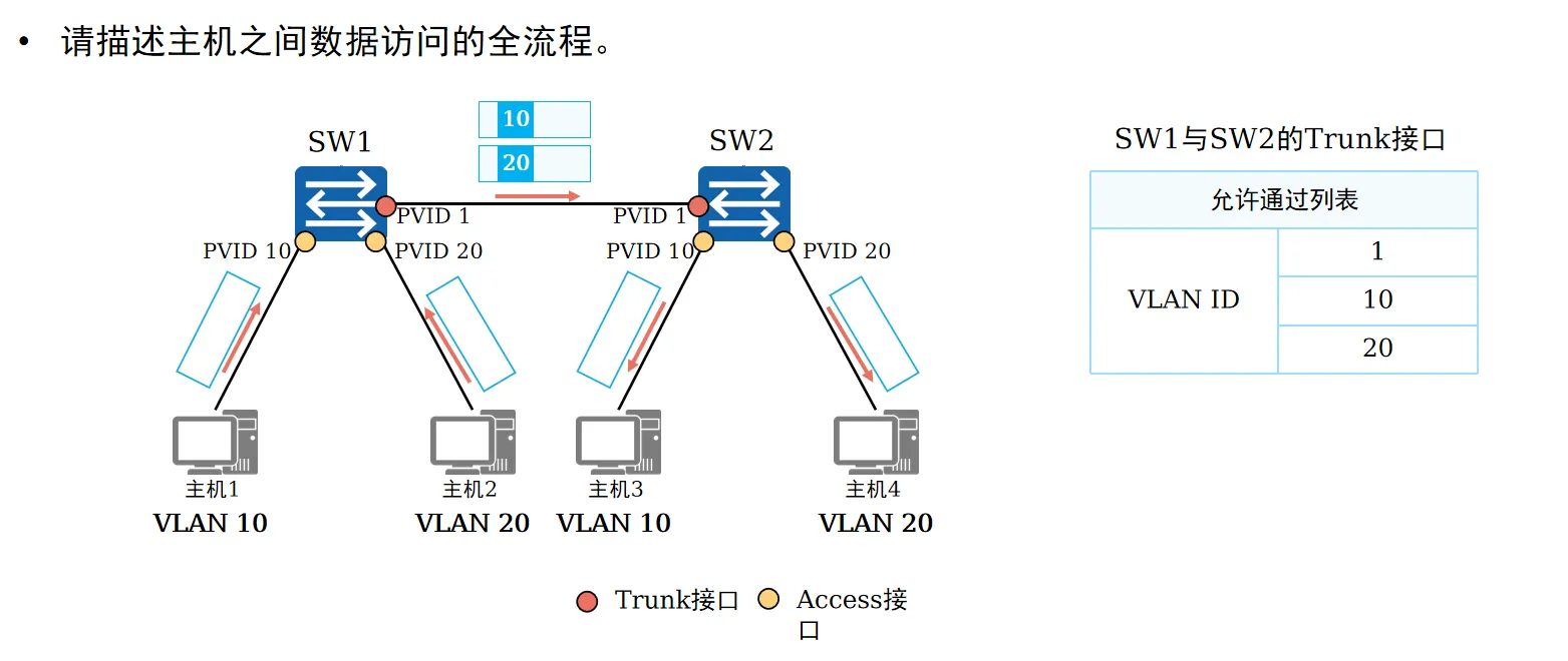 access与trunk接口