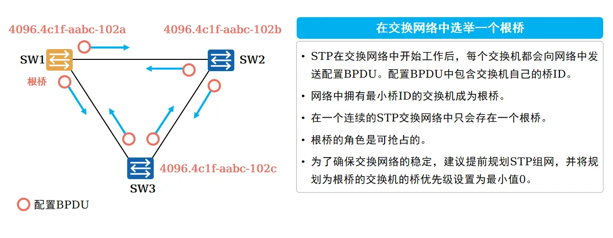 发送BPDU