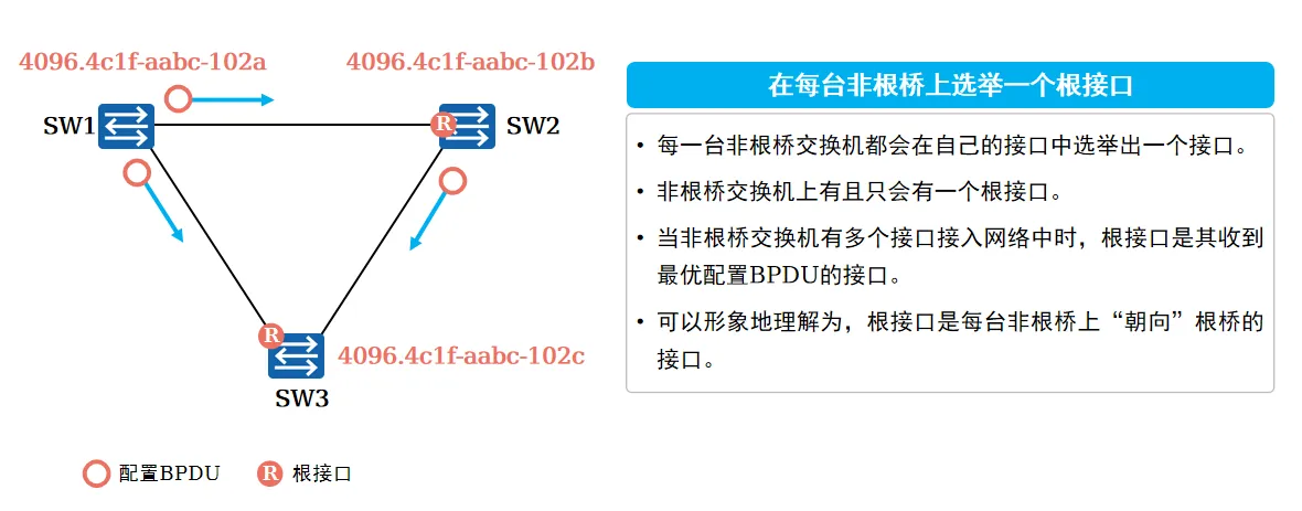 选举根桥和端口