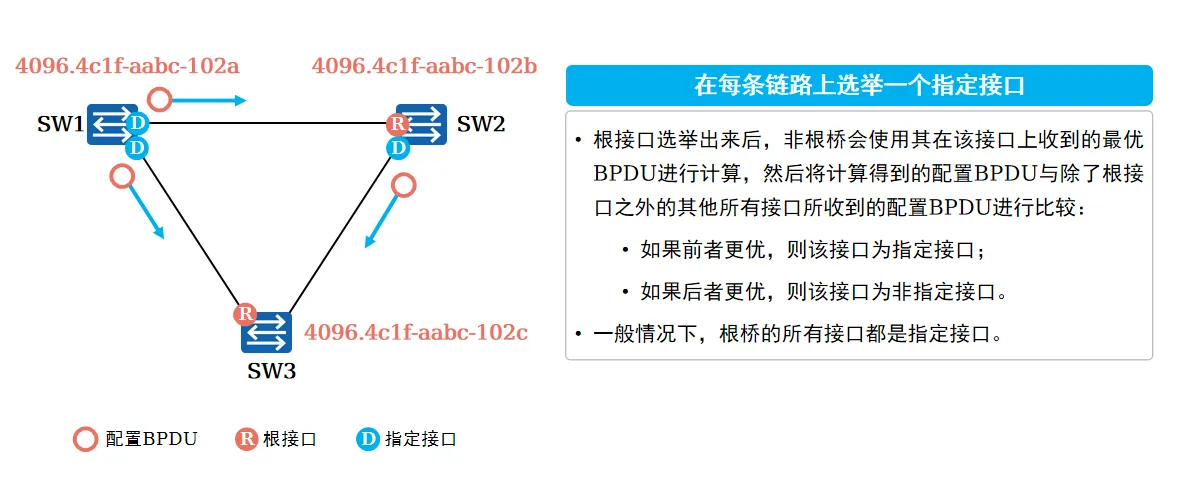 指定端口选举