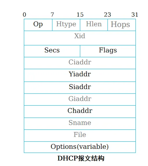 DHCP报文格式