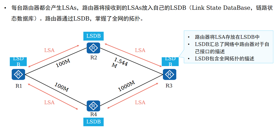LSDB数据库