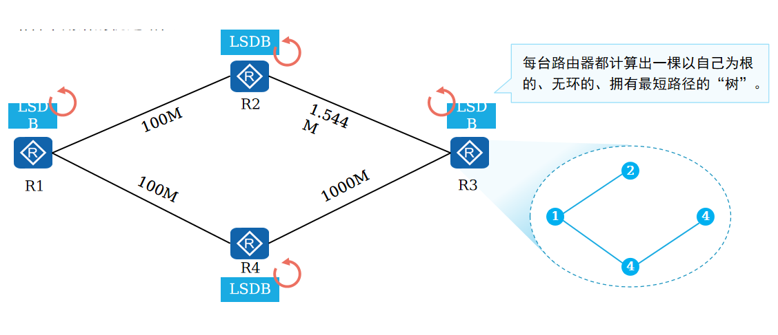 SPF路由计算