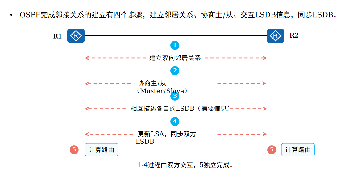 邻接关系建立