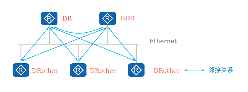 DR与BDR