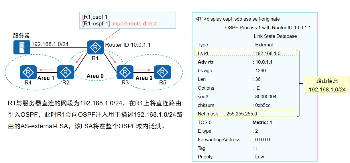 五类LSA示例