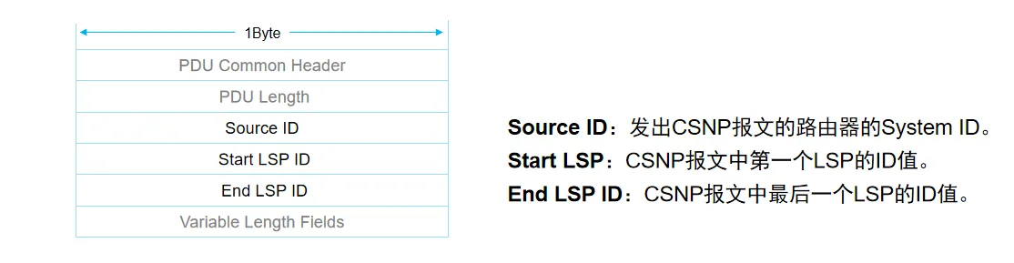 CSNP报文