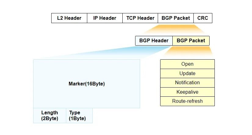 BGP报文头部1