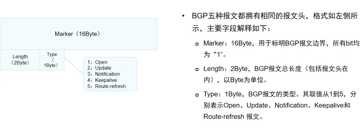 BGP报文头部2