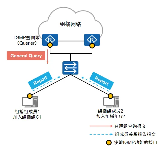 IGMP查询器