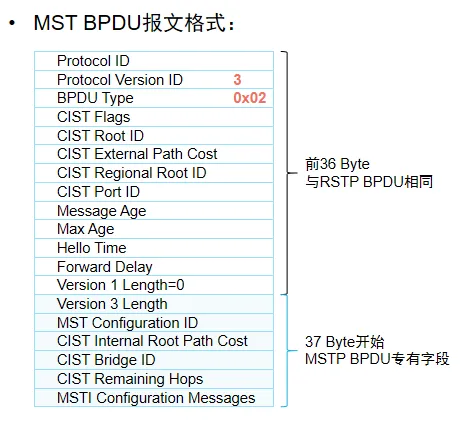MSTP报文